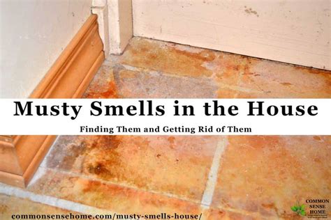 How to Get Musty Smell Out of Plastic Storage Containers: A Journey Through the Scented Labyrinth