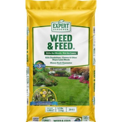 What is the Best Weed and Feed: A Journey Through the Garden of Possibilities