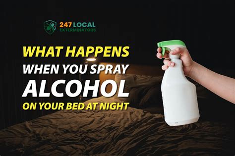 Why Would You Spray Alcohol on Your Bed: A Dive into Unconventional Habits and Their Curious Connections