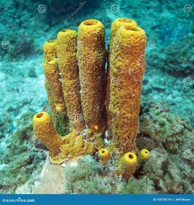 Yellow Tube Sponge - Een zacht huis voor zee-inwoners en een meester in het filteren van plankton!